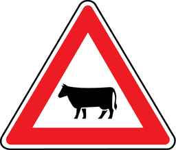 Mājdzīvnieki